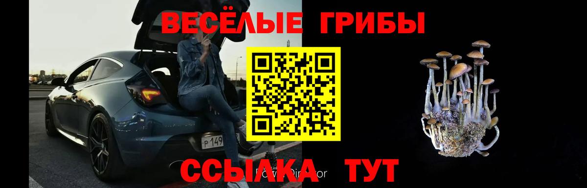 Галлюциногенные грибы прущие грибы Чебоксары